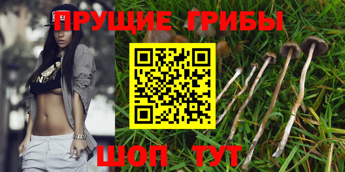 Галлюциногенные грибы Cubensis Воткинск